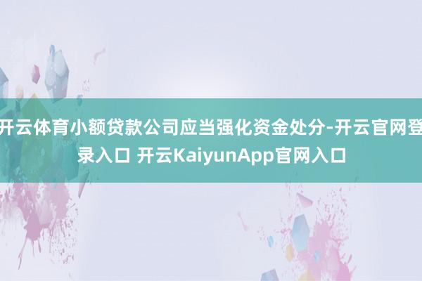 开云体育小额贷款公司应当强化资金处分-开云官网登录入口 开云KaiyunApp官网入口