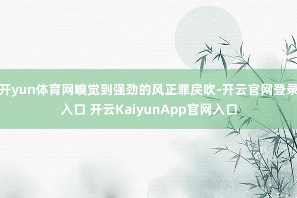 开yun体育网嗅觉到强劲的风正罪戾吹-开云官网登录入口 开云KaiyunApp官网入口