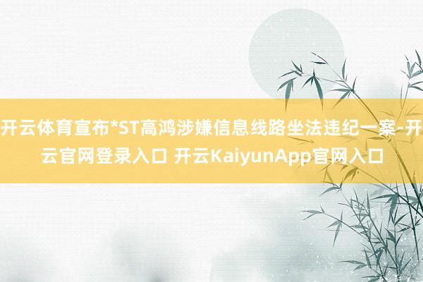 开云体育宣布*ST高鸿涉嫌信息线路坐法违纪一案-开云官网登录入口 开云KaiyunApp官网入口