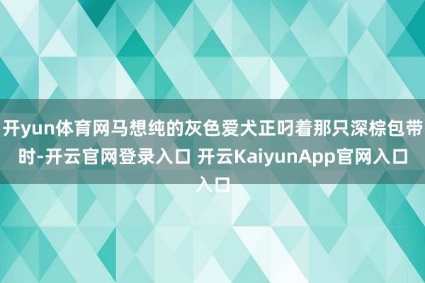 开yun体育网马想纯的灰色爱犬正叼着那只深棕包带时-开云官网登录入口 开云KaiyunApp官网入口