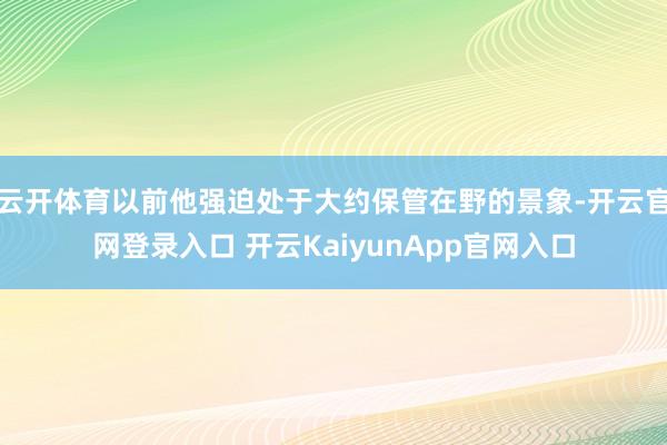 云开体育以前他强迫处于大约保管在野的景象-开云官网登录入口 开云KaiyunApp官网入口